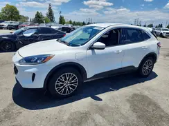 1FMCU0EZ6MUA78981 2021 FORD ESCAPE
