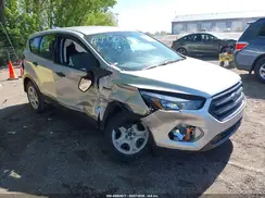 1FMCU0F71KUB52981 2019 FORD ESCAPE