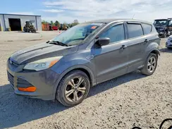 1FMCU0F75GUB11177 2016 FORD ESCAPE