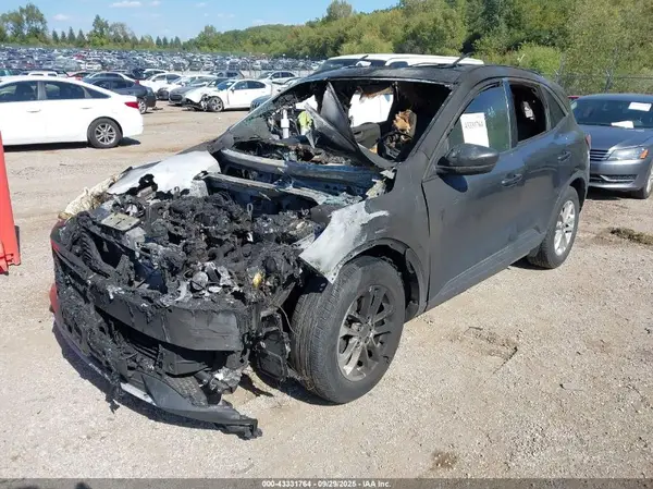 1FMCU0G60LUB65874 2020 FORD ESCAPE - Image 2