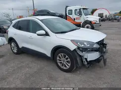 1FMCU0G60LUC00252 2020 FORD ESCAPE