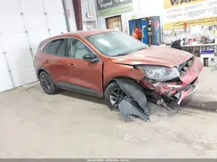 1FMCU0G61LUA83913 2020 FORD ESCAPE