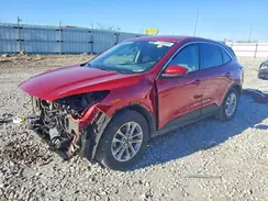 1FMCU0G61LUB03951 2020 FORD ESCAPE