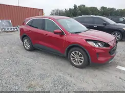 1FMCU0G61LUB31667 2020 FORD ESCAPE
