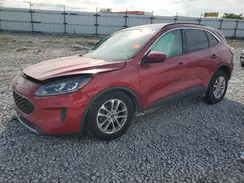 1FMCU0G61LUB68184 2020 FORD ESCAPE