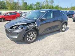 1FMCU0G61LUC00440 2020 FORD ESCAPE