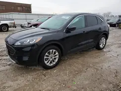1FMCU0G62LUB74222 2020 FORD ESCAPE