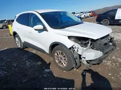 1FMCU0G63MUA03500 2021 FORD ESCAPE