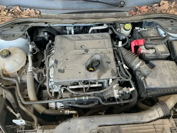 1FMCU0G64LUB13602 2020 FORD ESCAPE - Image 2