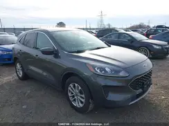 1FMCU0G64LUB50696 2020 FORD ESCAPE