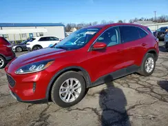 1FMCU0G64LUB55221 2020 FORD ESCAPE