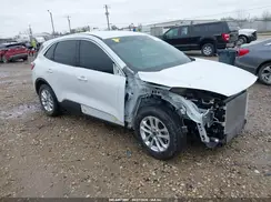 1FMCU0G64LUB94925 2020 FORD ESCAPE