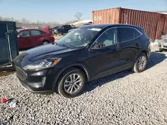 1FMCU0G64LUB95850 2020 FORD ESCAPE