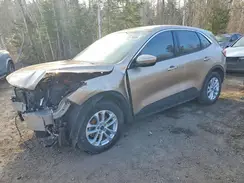 1FMCU0G64LUC38969 2020 FORD ESCAPE