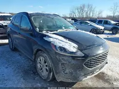 1FMCU0G64LUC62298 2020 FORD ESCAPE