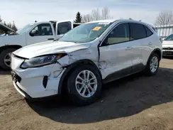 1FMCU0G64MUA66105 2021 FORD ESCAPE