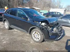 1FMCU0G65LUB28903 2020 FORD ESCAPE