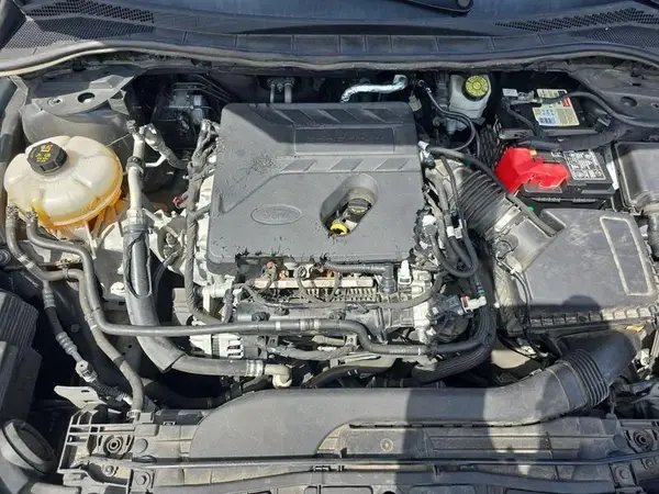 1FMCU0G65LUB79902 2020 FORD ESCAPE - Image 2