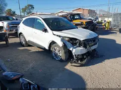 1FMCU0G65LUC50239 2020 FORD ESCAPE