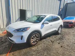 1FMCU0G65MUA68199 2021 FORD ESCAPE