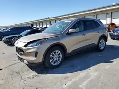 1FMCU0G66LUA10374 2020 FORD ESCAPE