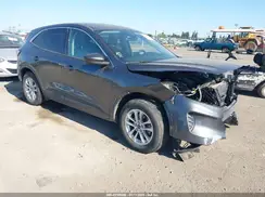 1FMCU0G66LUA11363 2020 FORD ESCAPE