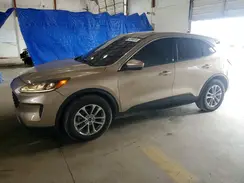 1FMCU0G66LUA51250 2020 FORD ESCAPE