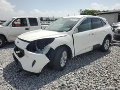 1FMCU0G66MUA98604 2021 FORD ESCAPE
