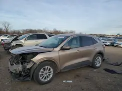 1FMCU0G68LUA26849 2020 FORD ESCAPE