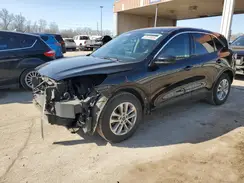 1FMCU0G68LUB55755 2020 FORD ESCAPE