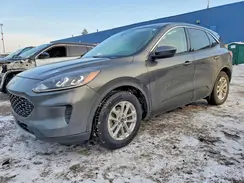 1FMCU0G68LUB94264 2020 FORD ESCAPE