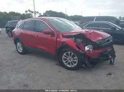 1FMCU0G68LUC06252 2020 FORD ESCAPE