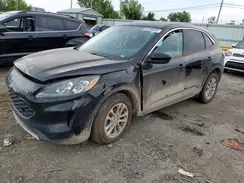 1FMCU0G68LUC17509 2020 FORD ESCAPE