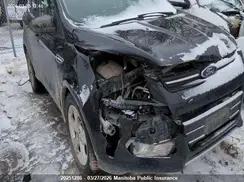 1FMCU0G73GUB41499 2016 FORD ESCAPE