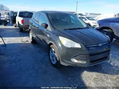 1FMCU0G74GUA87632 2016 FORD ESCAPE