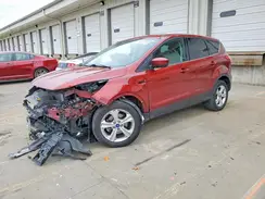 1FMCU0G74GUB69117 2016 FORD ESCAPE