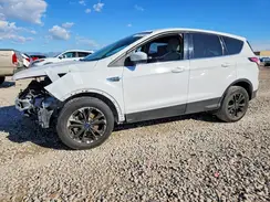 1FMCU0G90HUC56452 2017 FORD ESCAPE