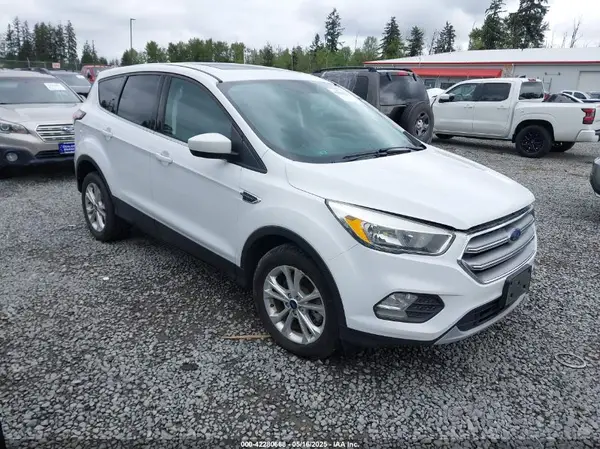 1FMCU0G91HUC89184 2017 FORD ESCAPE - Image 1