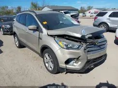 1FMCU0G91HUE92494 2017 FORD ESCAPE