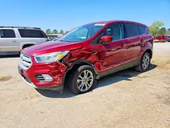 1FMCU0G91KUB66556 2019 FORD ESCAPE
