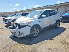 1FMCU0G92GUB35243 2016 FORD ESCAPE