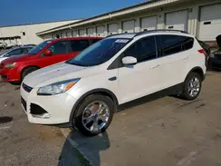 1FMCU0G94GUA65017 2016 FORD ESCAPE