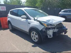 1FMCU0G97KUB33481 2019 FORD ESCAPE