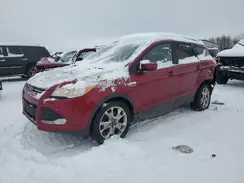 1FMCU0G98GUA00008 2016 FORD ESCAPE