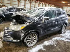 1FMCU0G98GUB77982 2016 FORD ESCAPE