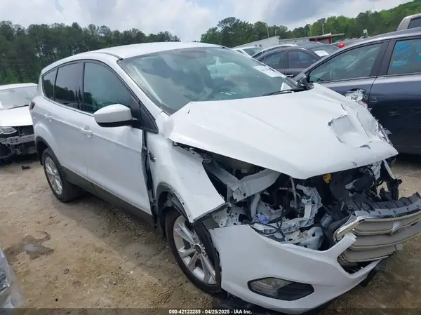 1FMCU0GD0HUD06917 2017 FORD ESCAPE - Image 1