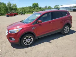 1FMCU0GD0KUA47739 2019 FORD ESCAPE