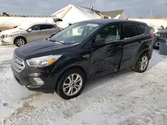 1FMCU0GD0KUB16672 2019 FORD ESCAPE