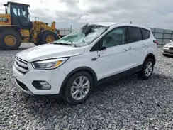 1FMCU0GD0KUB81800 2019 FORD ESCAPE
