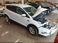 1FMCU0GD0KUC35497 2019 FORD ESCAPE